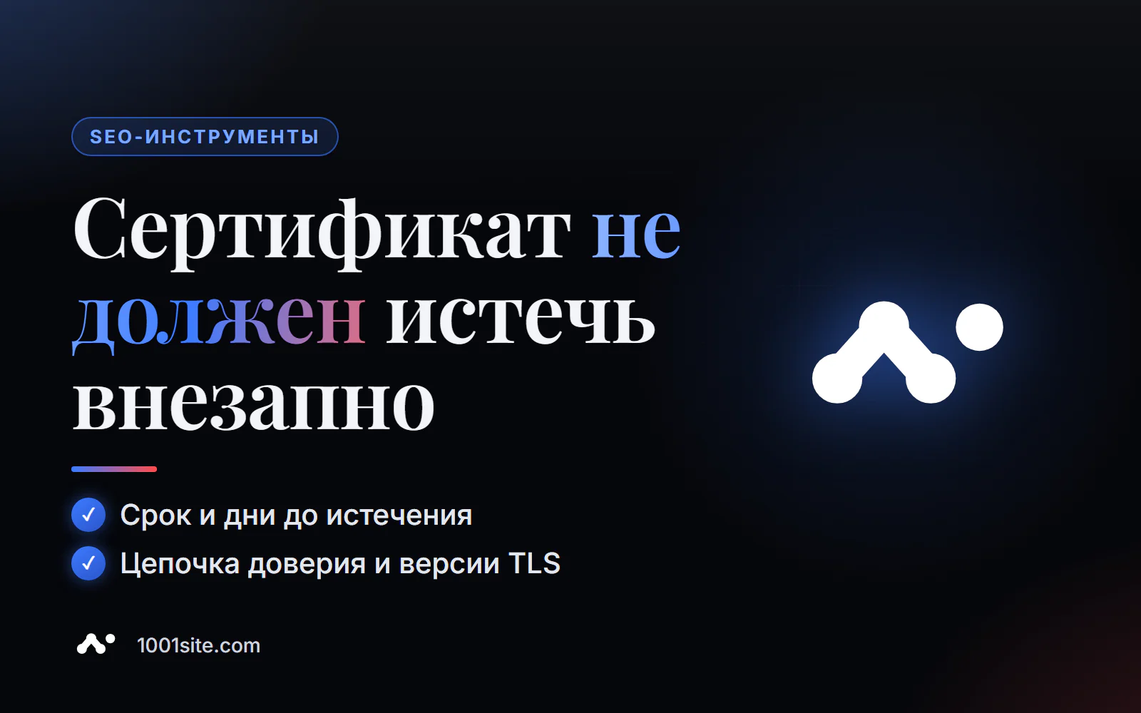 Проверка SSL-сертификата онлайн: издатель, срок действия, цепочка доверия и версии TLS