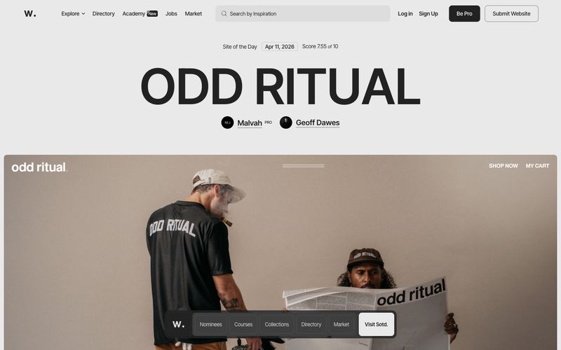 Awwwards — eine Vorschau einer Website in diesem Stil