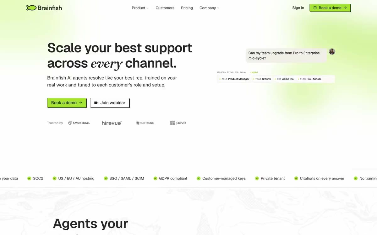 Brainfish — eine Vorschau einer Website in diesem Stil
