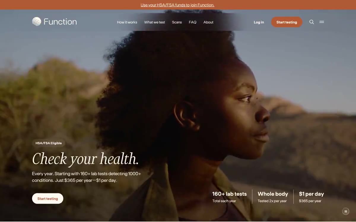 Function — eine Vorschau einer Website in diesem Stil
