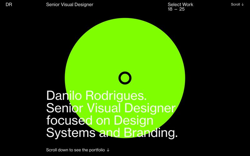 Danilo Rodrigues — eine Vorschau einer Website in diesem Stil