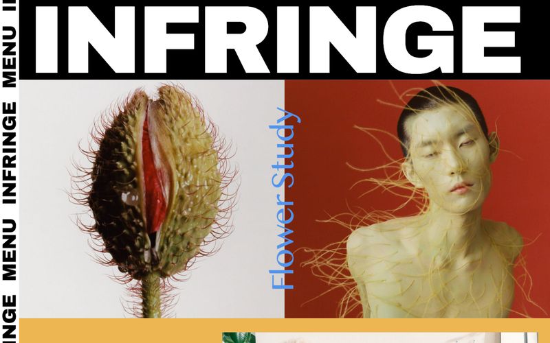 INFRINGE — eine Vorschau einer Website in diesem Stil