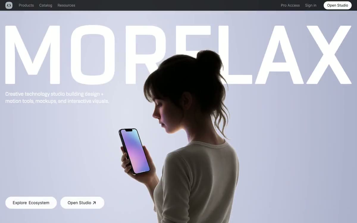 Morflax — eine Vorschau einer Website in diesem Stil