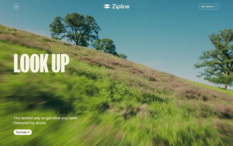 Zipline — eine Vorschau einer Website in diesem Stil