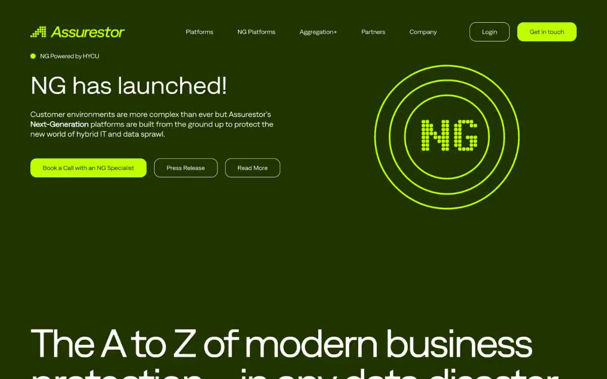 Assurestor — eine Vorschau einer Website in diesem Stil