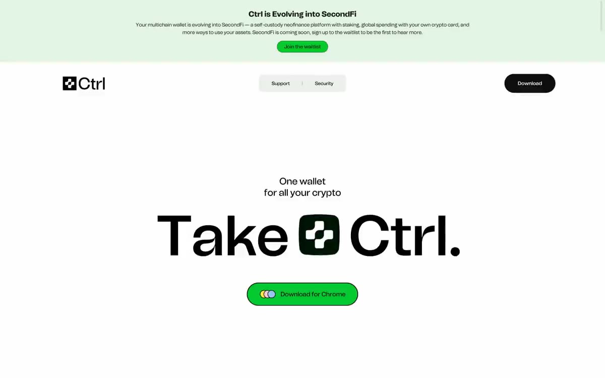 Ctrl — eine Vorschau einer Website in diesem Stil