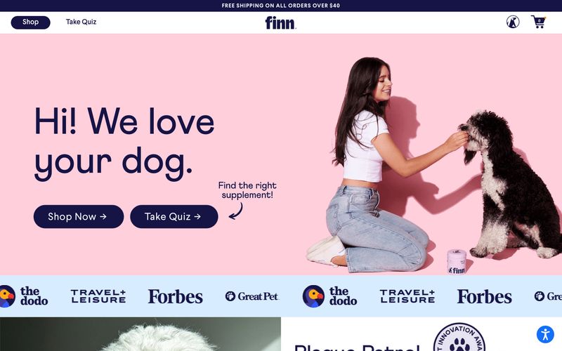 Finn – svetainės peržiūra šiuo stiliumi