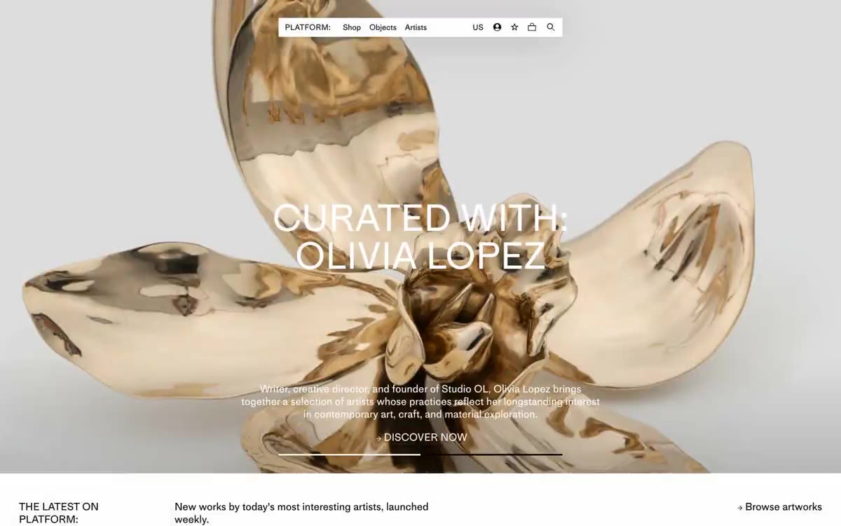 PLATFORM — eine Vorschau einer Website in diesem Stil