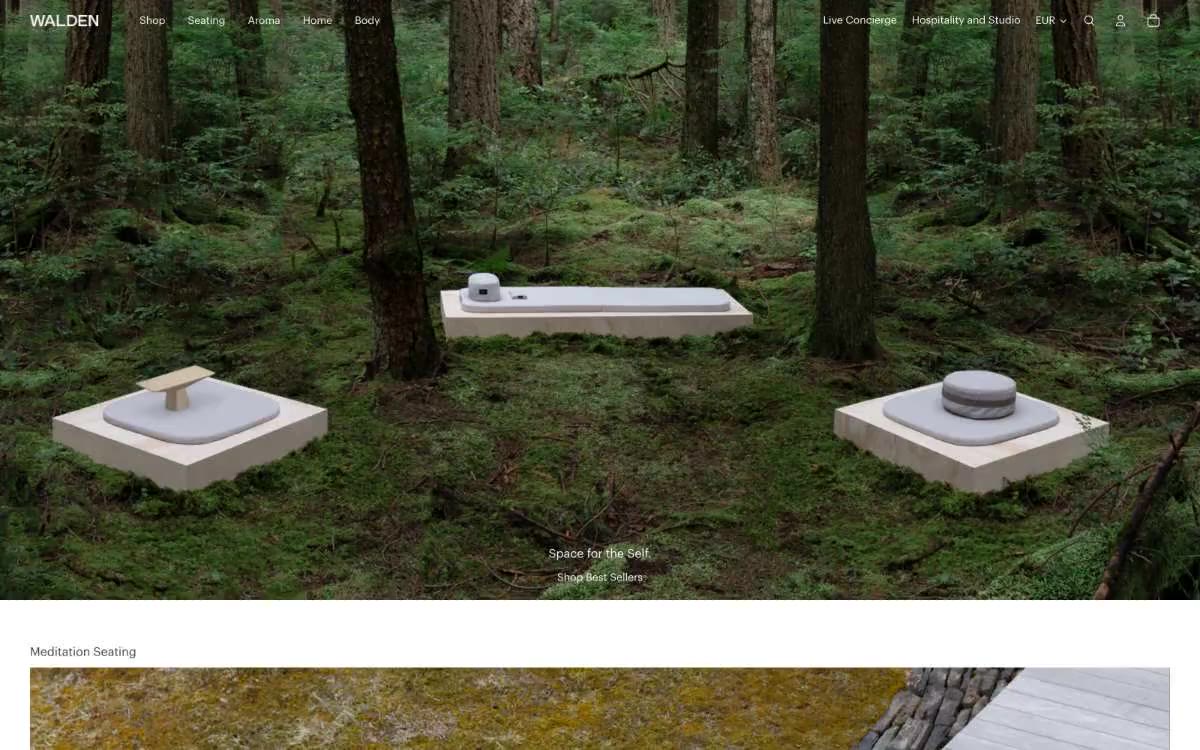 Walden — преглед сајта у овом стилу