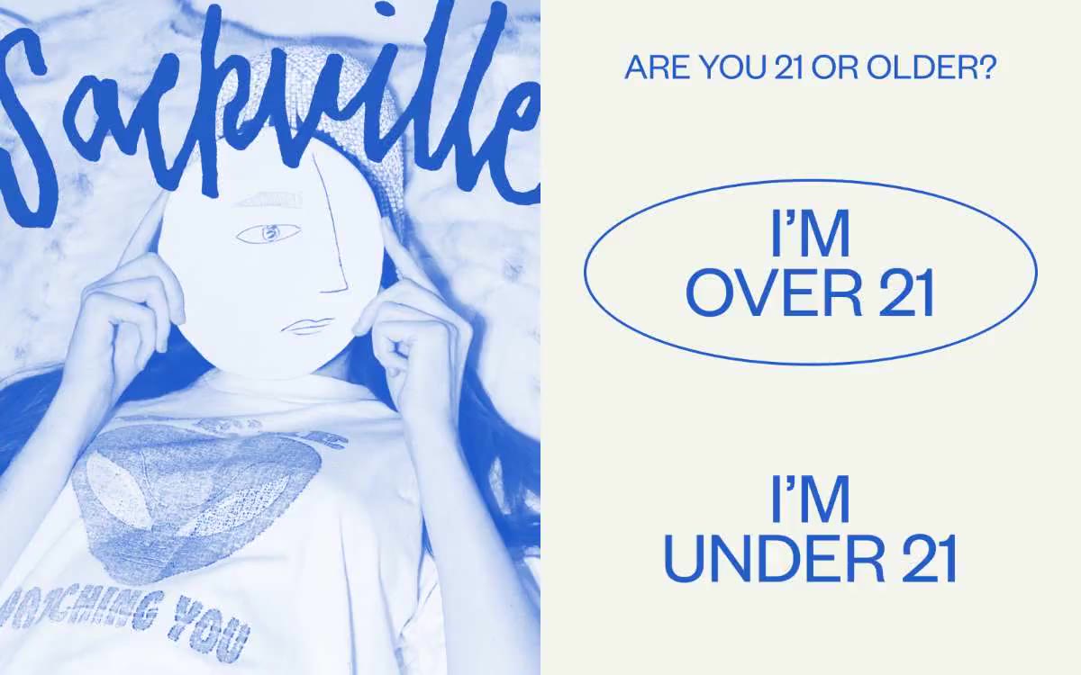 Sackville & Co. — eine Vorschau einer Website in diesem Stil