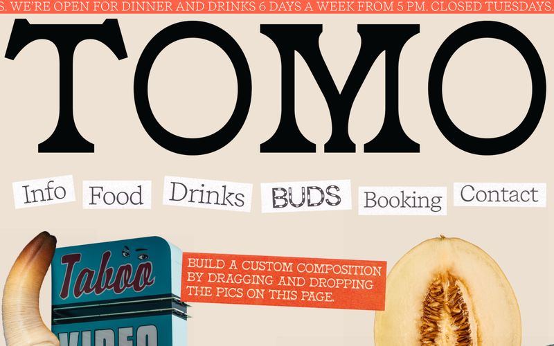 TOMO — eine Vorschau einer Website in diesem Stil