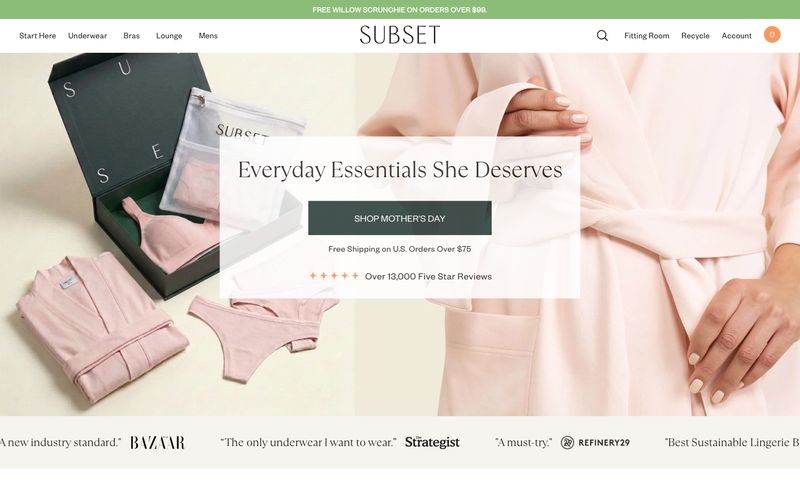 Subset — una vista prèvia d'un lloc web amb aquest estil