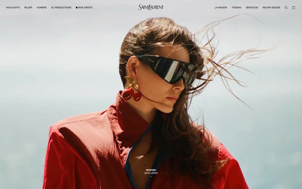 Ysl — eine Vorschau einer Website in diesem Stil