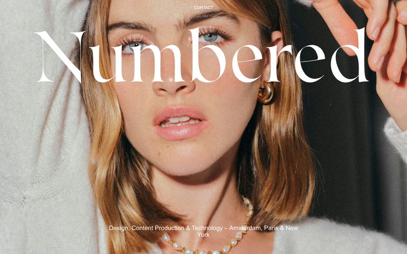 Numbered — eine Vorschau einer Website in diesem Stil