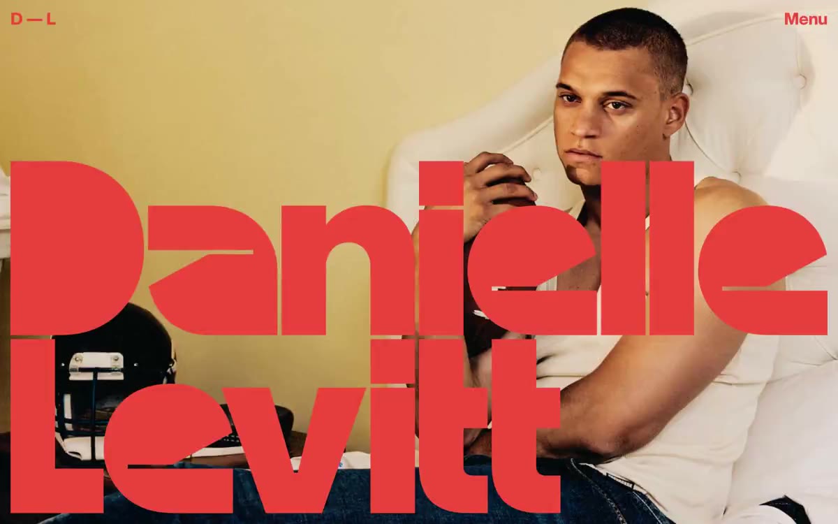Daniellelevitt - папярэдні прагляд сайта ў гэтым стылі