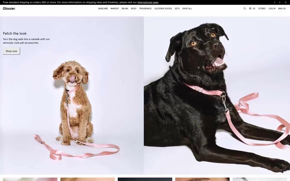 Glossier — en forhåndsvisning af et websted i denne stil