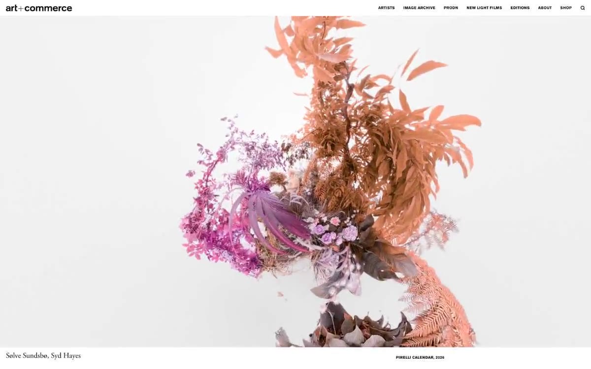 Artandcommerce — estilo honetako gune baten aurrebista