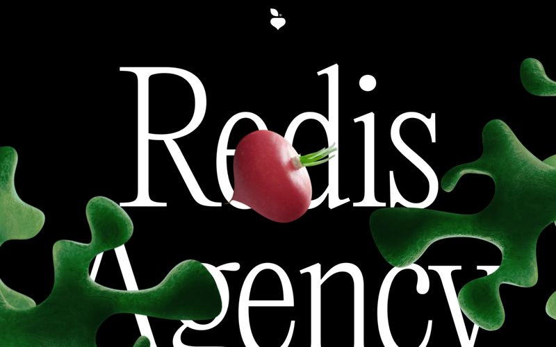 Redis Agency — eine Vorschau einer Website in diesem Stil