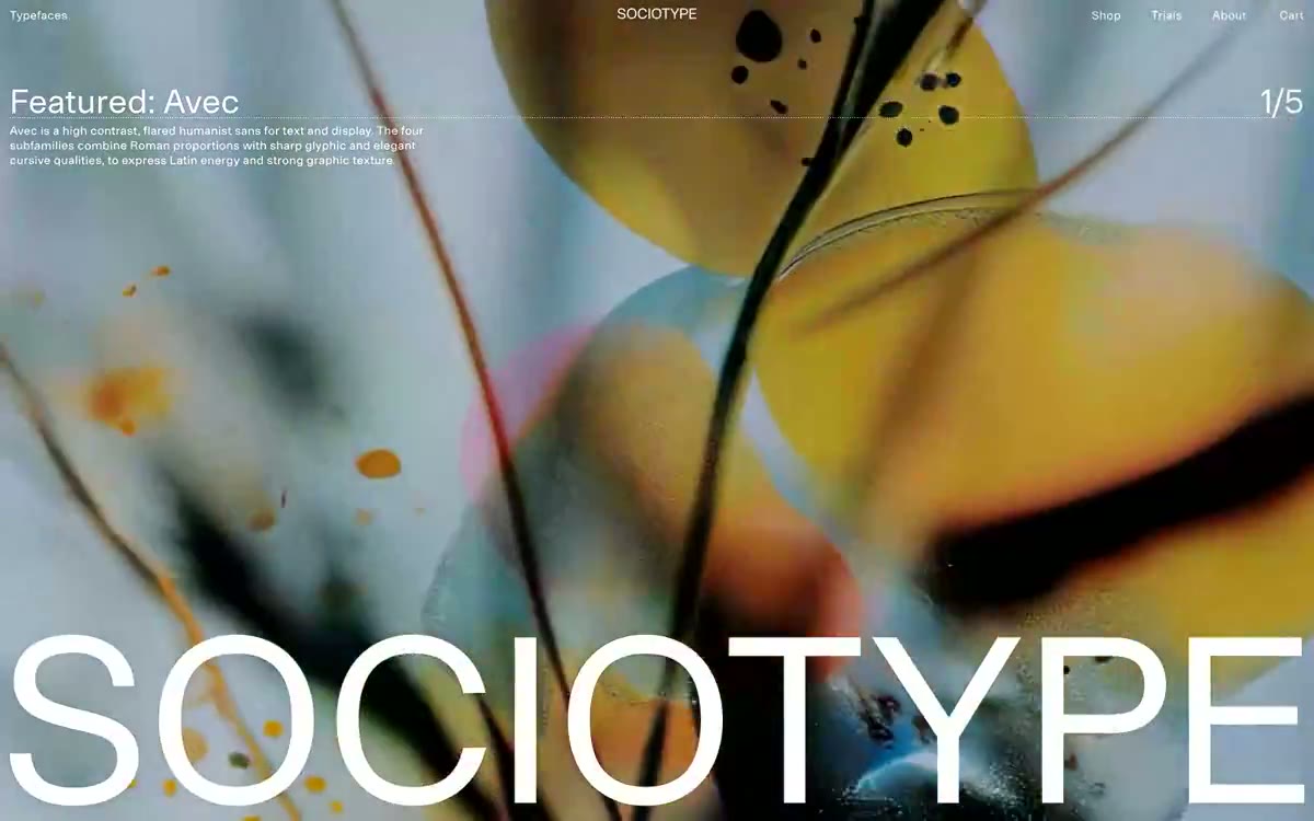 Sociotype — eine Vorschau einer Website in diesem Stil