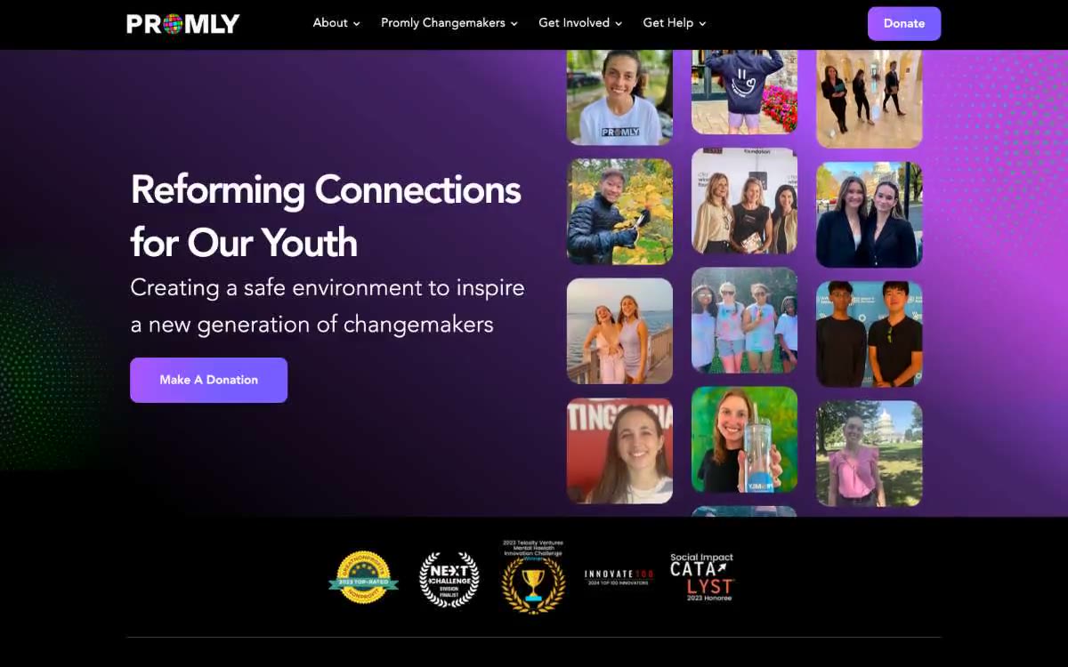 Promly — eine Vorschau einer Website in diesem Stil