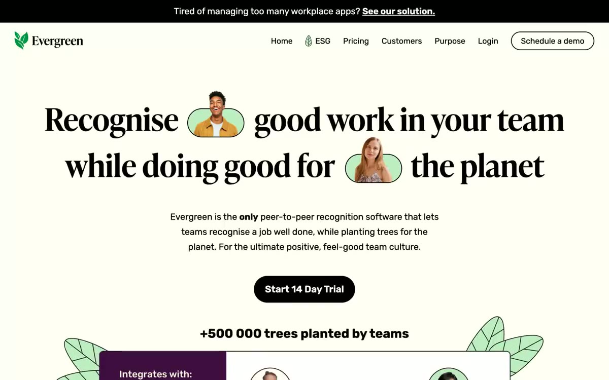 Evergreen — هن انداز ۾ سائيٽ جو هڪ ڏيک