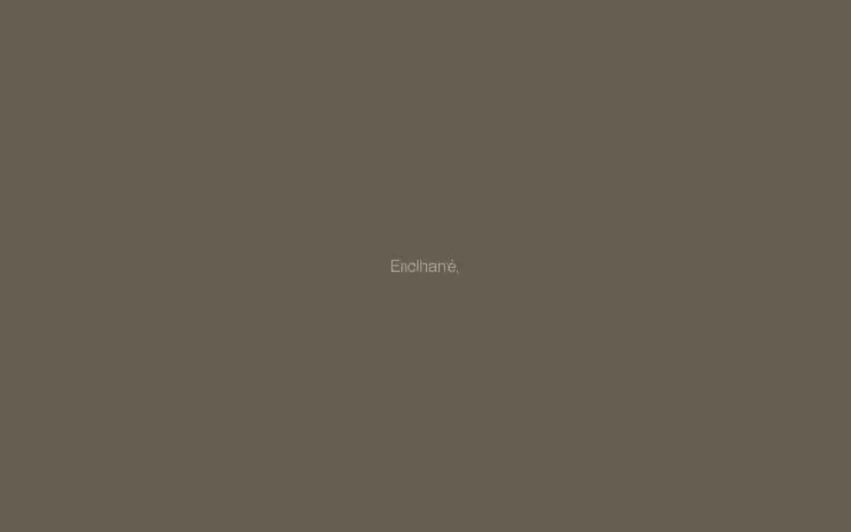 Maëlan Le Meur — eine Vorschau einer Website in diesem Stil