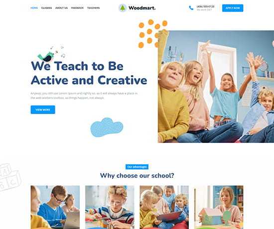 demos school Разработка интернет магазина. Товары, акции, доставка, отзывы, контакты.